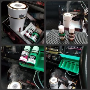 有沒有坐過擴香淨化跟尤加利精油的士呀！ (中國市場)